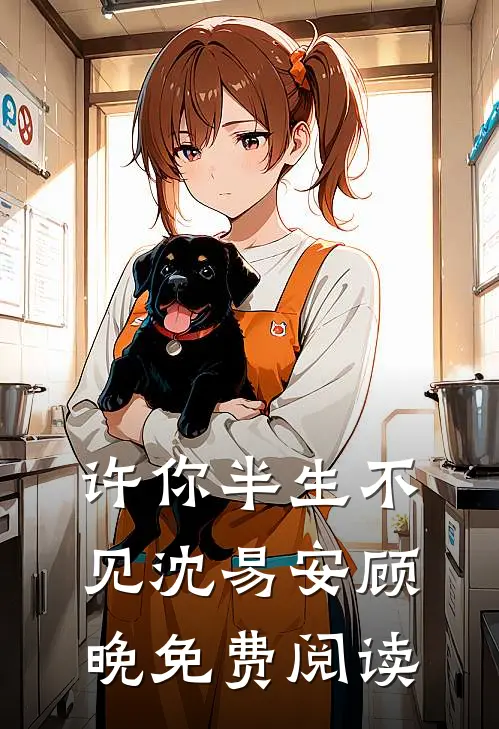 许你半生不见沈易安顾晚免费阅读