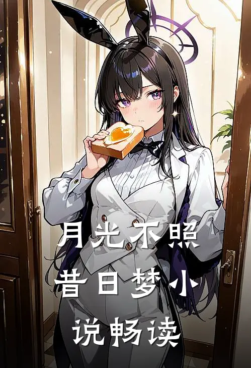 月光不照昔日梦小说畅读