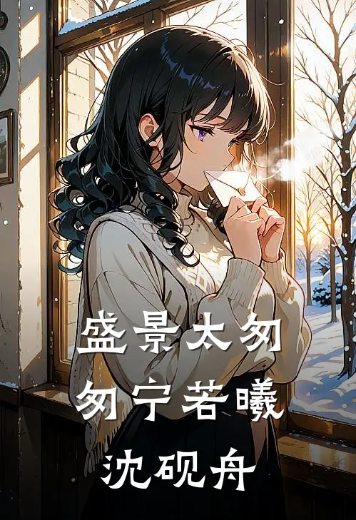 盛景太匆匆(宁若曦沈砚舟)