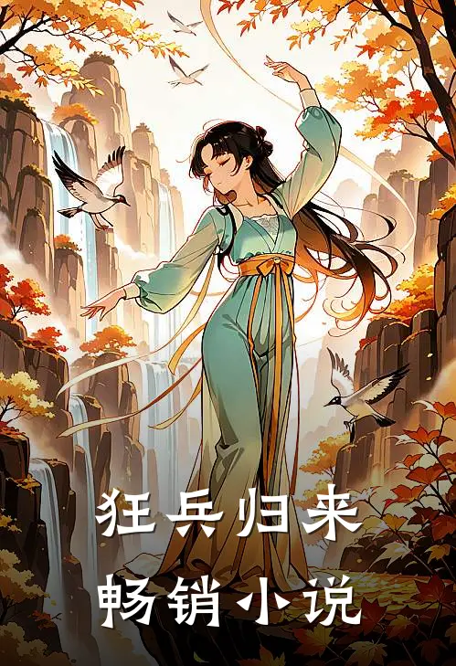 狂兵归来畅销小说